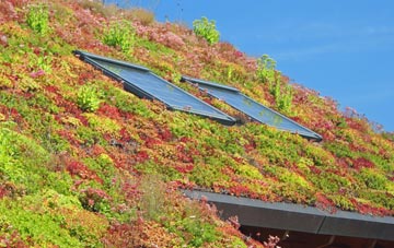 Battlesden living roof systems